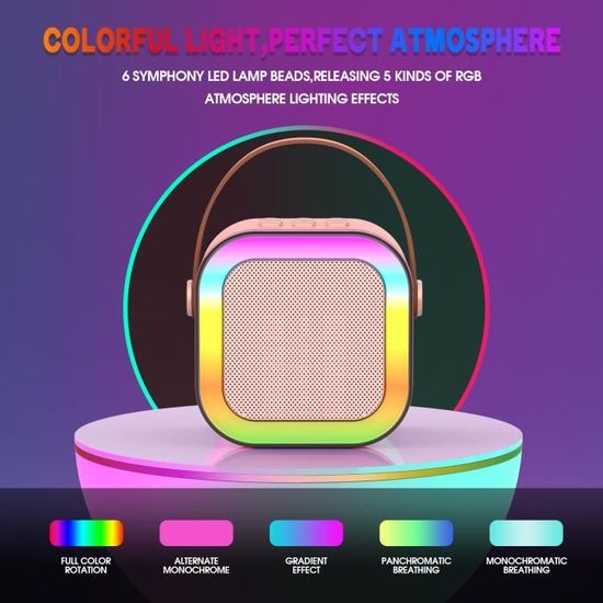 ZWOOS – Micro Karaoké Portable Pour Enfant Avec 2 Micros Sans Fil Bluetooth, Effets Vocaux Et Lumières LED – Cadeau Filles Et Garçons 3-12 Ans – Violet