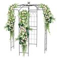 COSTWAY Arche de Jardin avec Treillis 206 x 206 x 286cm-en Forme de Cage à Oiseaux-Crochet de Suspension-en Métal-Plantes Grimpantes-0