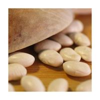 Graines de Haricot nain à écosser Coco blanc-Sachet de 80 gr.-BELLEVUE DISTRIBUTION-Sachet de 80 gr.-BELLEVUE DISTRIBUTION
