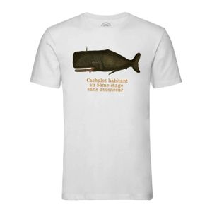 T-SHIRT T-shirt Homme Col Rond Blanc Cachalot Du 5ème Etages Planches Biologie Illustration