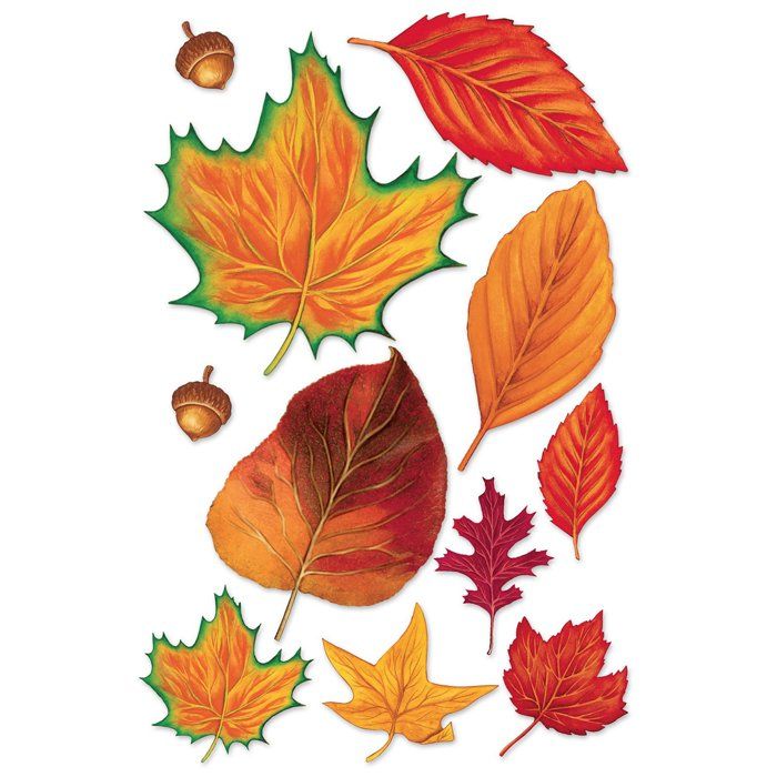 Assortiment de 11 feuilles d'automne