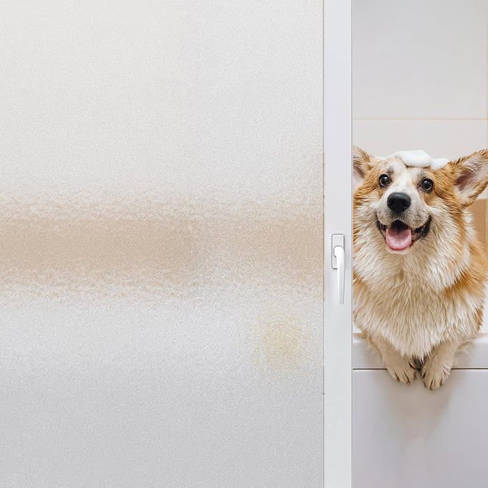 Film Occultant Fenêtre 120 X 100 Cm Film Fenêtre Occultant Film Dépoli Fenêtre Opaque 56 Salon Chambre A Coucher Cuisine 91618431