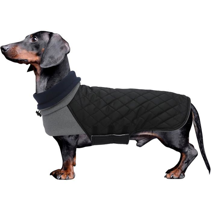 Meilleurs prix pour Manteau imperméable pour teckel - VETOBIOL - Col haut - Trou pour harnais - Doublure matelassée - Lavage en machine