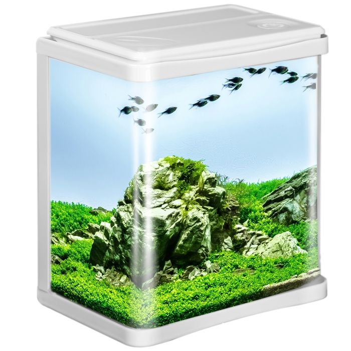 Aquarium complet blanc pour enfants comprenant poissons crevettes filtre et éclairage LED 3 L
