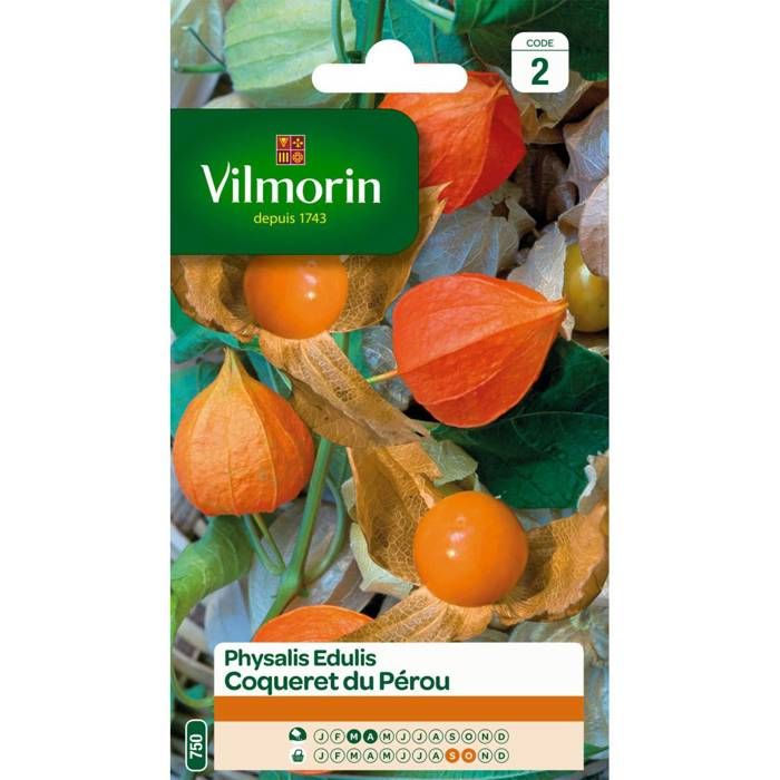 Graines De Rudbeckia Pourpre Vivace - 1 G, Fleurs Rustiques, Par Les Graines Bocquet - 8