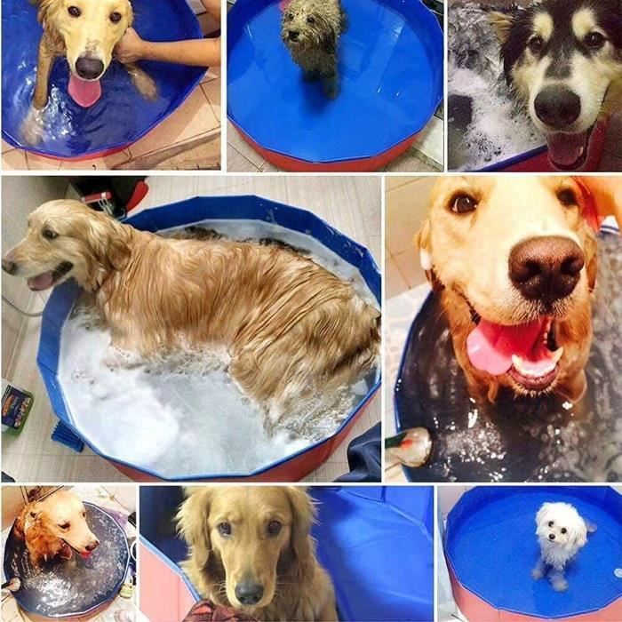 Piscine Pliable Pour Chien 60x20 Cm - En PVC, Sans Gonflage, Utilisable Comme Pataugeoire Enfant, Bassin Animaux