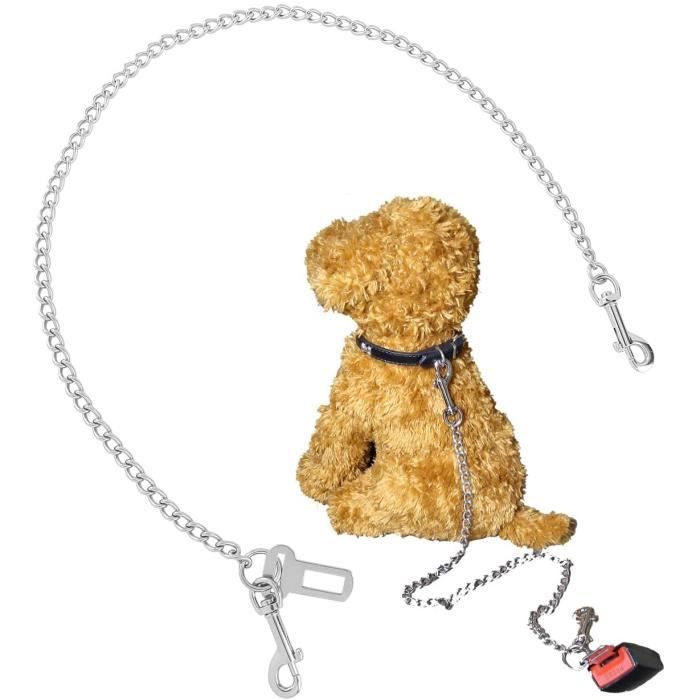 Ceintures De Sécurité Pour Chiens - Sécurité En Voiture