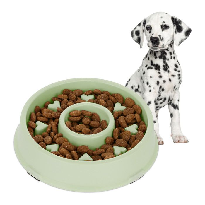 Meilleurs prix pour Gamelle anti-glouton 500 ml - 10043294-53