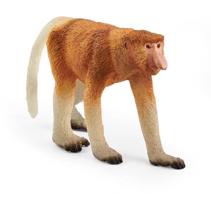 Camion D'Expédition PLAYMOBIL® Wild Life 70278