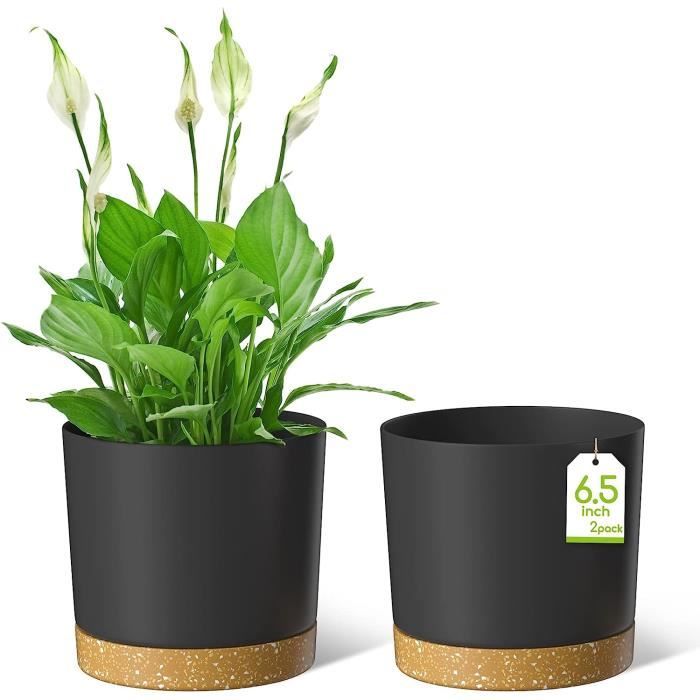 HHHC Lot de 8 pots de fleurs en plastique pour plantes d'intérieur avec  drainage et soucoupe pour toutes les plantes d'intérieur, herbes, plantes à  feuillage et pots de semis (5,5, multicolore) 