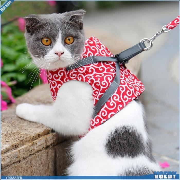 Comparer les prix de Harnais anti-évasion pour chat - V GEBY - Rouge - Taille XS 22cm - Gilet rembourré - Laisse incluse