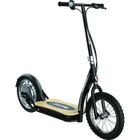 Razor - EcoSmart SUP - Trottinette Electrique - Noir