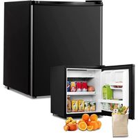 Mini frigo RELAX4LIFE 46L avec Congélateur Porte Réversible