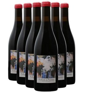 VIN ROUGE Fleurie Avalanche de Printemps Rouge 2021 - Bio - Lot de 6x75cl - Marc Delienne - Vin AOC Rouge du Beaujolais - Cépage Gamay