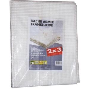 BACHE Bâche armée translucide - 4x6 m