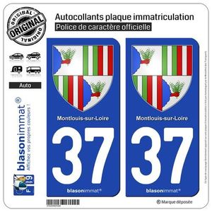 DÉCORATION VÉHICULE 2 Autocollants plaque immatriculation Auto 37 Mont