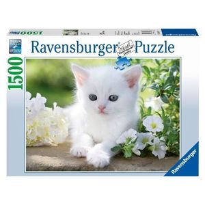 PUZZLE Puzzle Ravensburger Chaton Blanc - 1500 pièces - P
