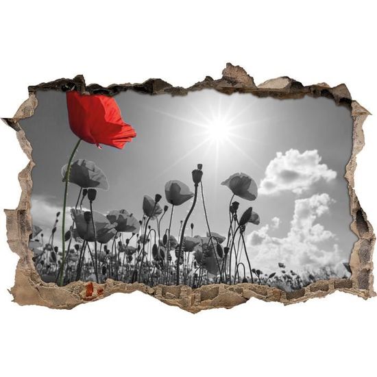 Beau Champ De Coquelicots En Ete Noir Mur Blanc Percee En 3d Look Mur Ou Format Vignette De La Porte 92x62cm Stickers Muraux Cdiscount Maison