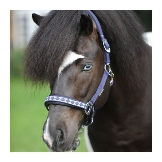 Licol Pour Cheval Double Couche Nylon Épais Rembourré - Taille M Pour Poulain, Poney, Âne