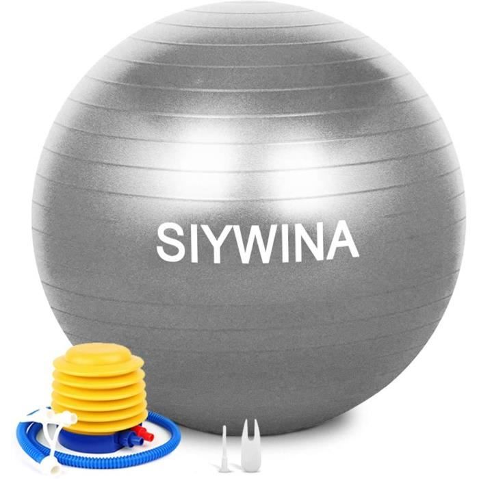 Ballon Fitness Ballon de Grossesse Yoga Ballon d'exercice Pilates Swiss Ball pour Entraînement Grossesse Equilibre Chair 55cm 65cm