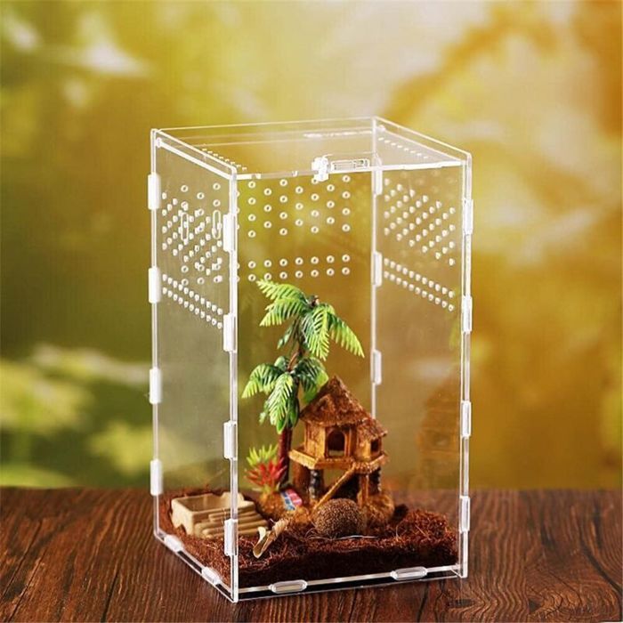 Terrarium pour reptiles terrarium pour insectes terrarium pour lézards serpents araignées