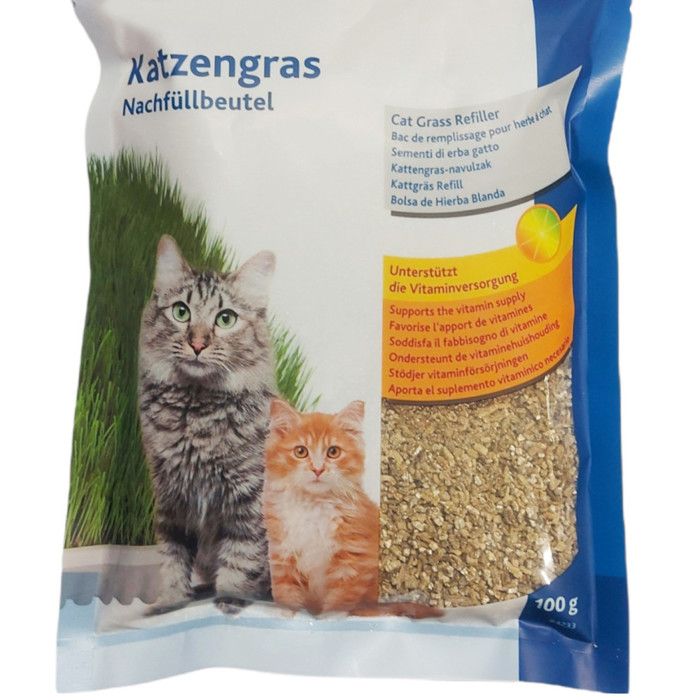 Meilleurs prix pour Herbe à chat tendre 100 gr graine à faire pousser. - animallparadise 3