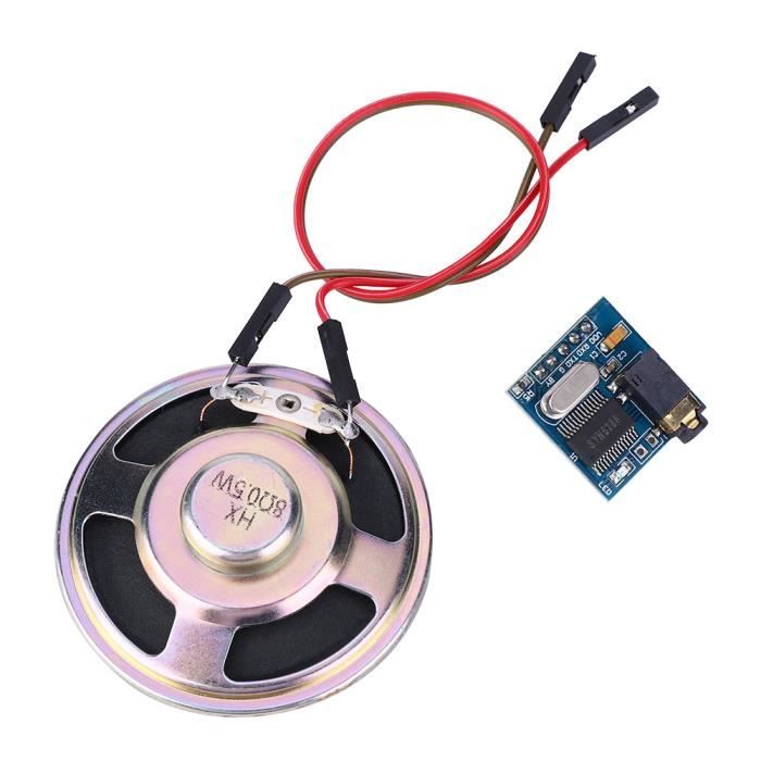 Module Vocal Enregistrable - PWSHYMI - Carte De Voeux Bricolage - 60s D