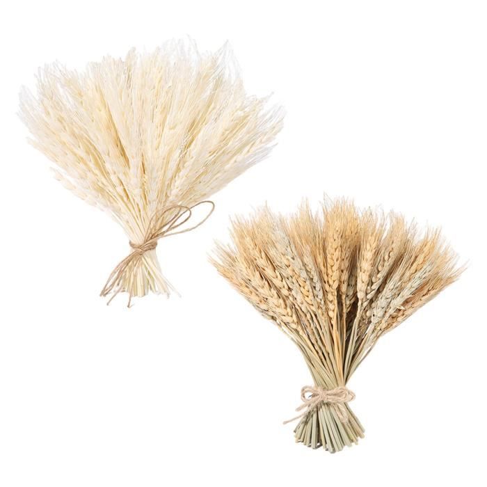 100 Tiges De Blé Séchées Naturelles - Décoration Rustique Pour Mariage, Maison