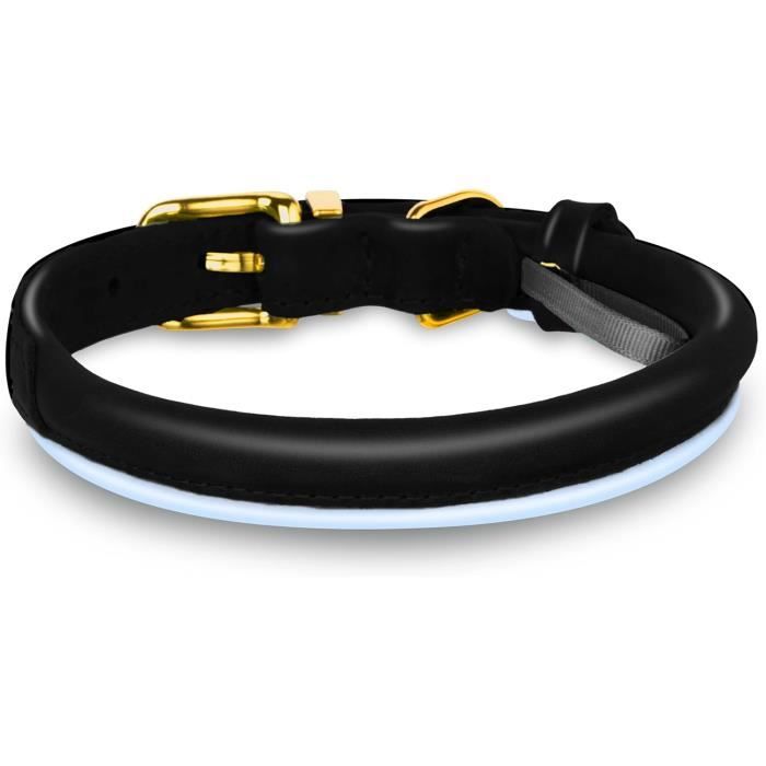 Laisse pour chien en cuir roulé Weatherbeeta - Chien