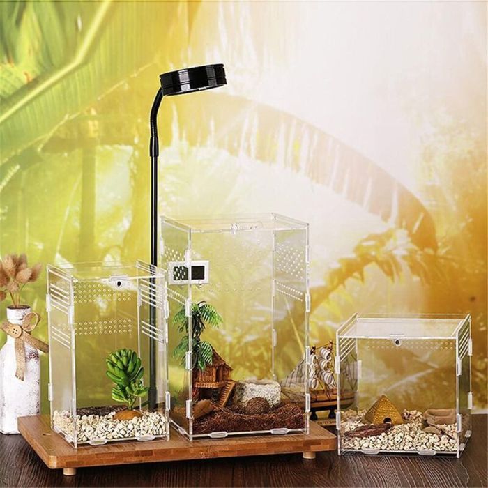 Reykentu Lot De 2 Cages à Papillons Et Insectes – Habitat 40x40x60 Cm, Pliable, Avec Fenêtre Transparente