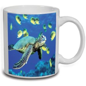 BOL Lot de 2 mugs tortue avec décor mer en céramique
