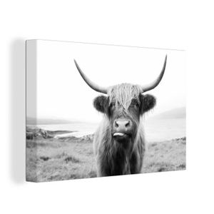 Cadre Photo - MuchoWow - Paysage - 120x80 cm - Scottish highlander Vache  Animaux Montagne Nature - Multicolore - Cdiscount Maison