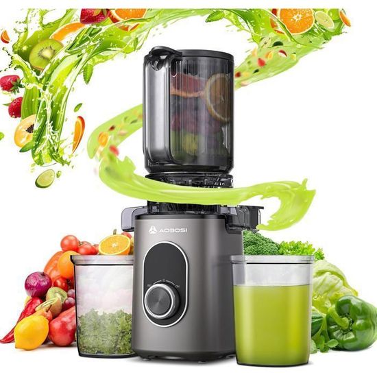 Extracteur De Jus à Froid - Goulotte 14 Cm, Moteur 250W, Rendement élevé, Facile à Nettoyer (2L, Gris Mat)
