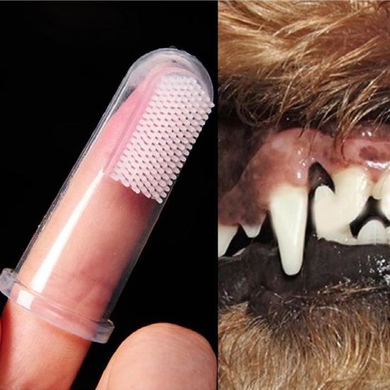 Brosse à dents pour Chien Chat Chiot Hygiène Dentaire Toilettage