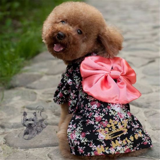 Kimono Habits Vetement Chien Chiot Chat Pyjamas Pour L Ete 100 Coton Mignon De Couleur Noir Cdiscount Kimono Habits Vetement Chien Chiot Chat Pyjamas Pour L Ete 100 Coton Mignon De Couleur Noir Cdiscount
