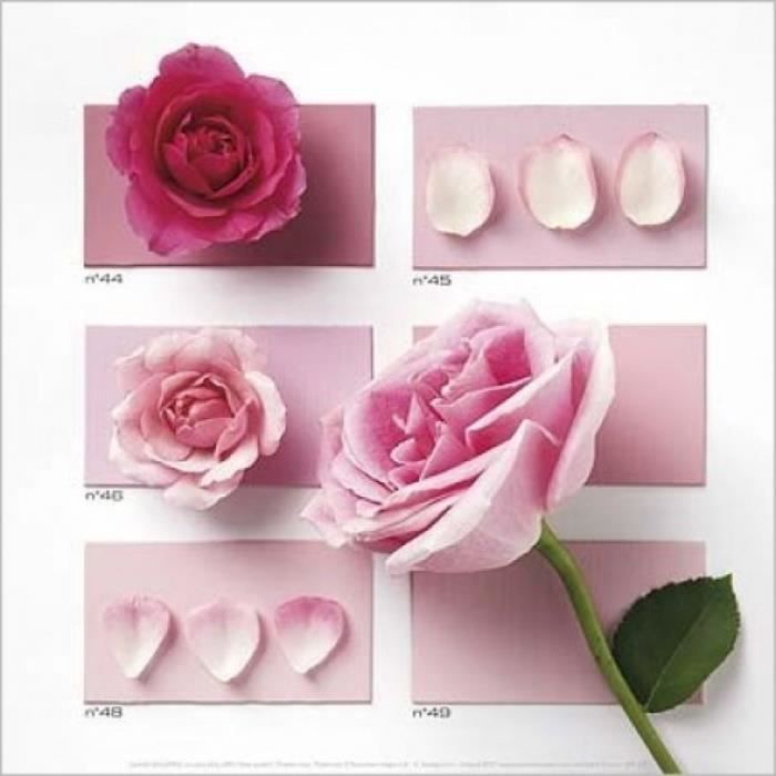Fleurs Poster Reproduction Rose Poudre 30 X 30 Cm Cdiscount Maison Fleurs Poster Reproduction Rose Poudre 30 X 30 Cm Cdiscount Maison
