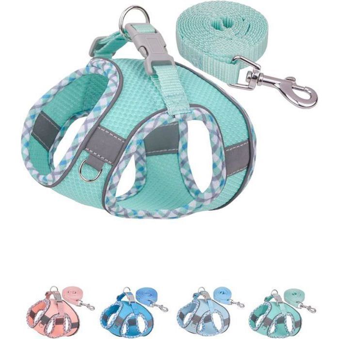 Meilleurs prix pour Harnais pour chien de petite et moyenne taille sans traction ensemble harnais et laisse pour chiot harnais (vert S)  HARNAIS ANIMAL