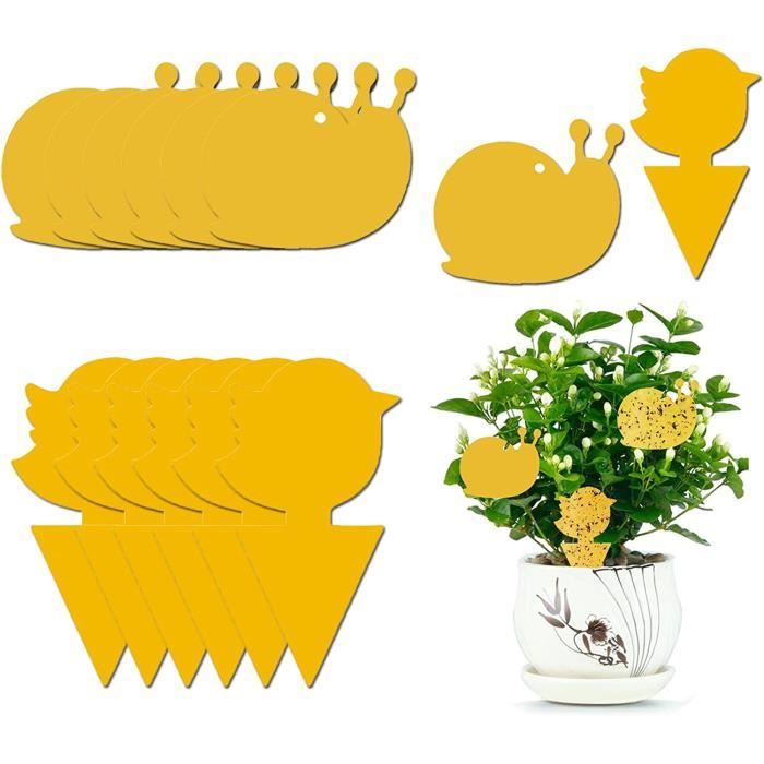 Insecticide Moucheron 10 Pièces Pièges à Insectes, Attrape Mouche Collant, Ecologic Fly Trap Mouche, Anti Moucherons Interieur, Piege A Guepes Exterieur, Piege A Mouche Moucherons Cuisine