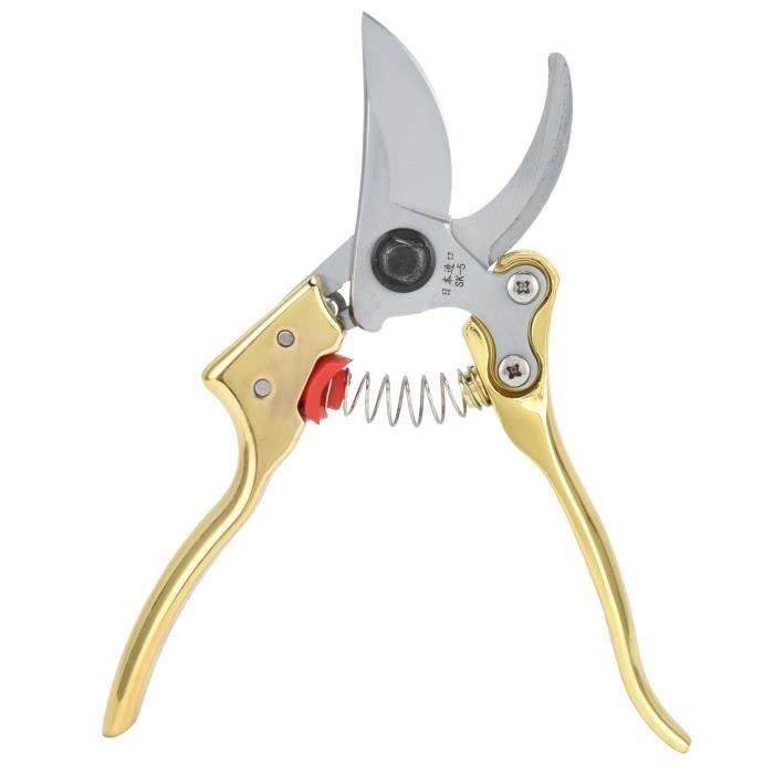 Cisaille D'élagage Extensible - Lames En Acier Carbone, Poignée Longue Et Confortable