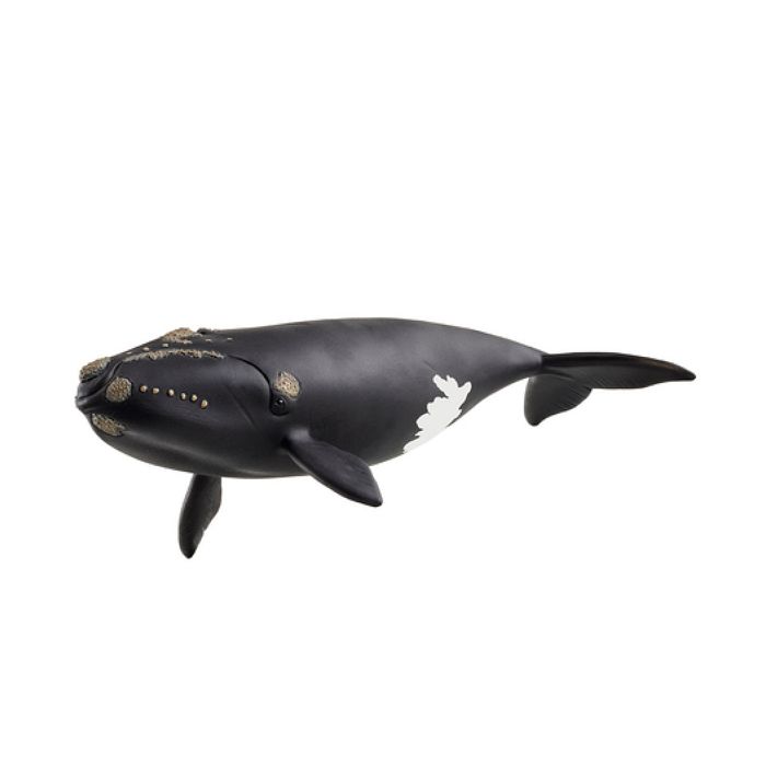 Figurine Baleine de 'Atlantique 14878 Wild Life des Neuf - vue 2