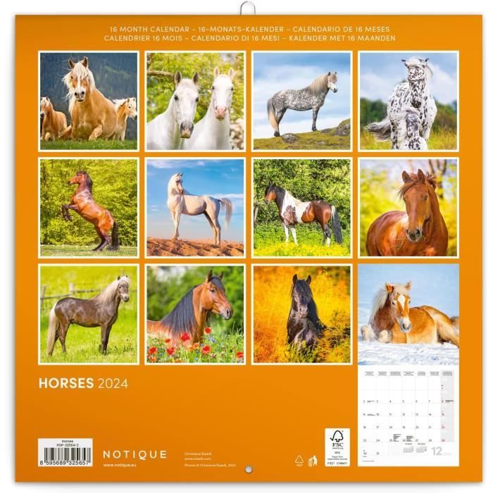 calendrier 2024 cheval camargue poster affiche plastifiée 30 x 40 cm réf 06