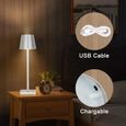 AISKDAN Lampe à poser LED,Lampes de Chevet LED Style minimaliste moderne  pour Chambre-Salon-Bureau-2