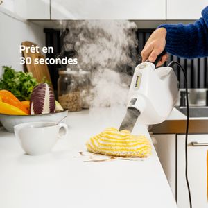 Nettoyeur Vapeur Polti Vaporetto SV220 - Balai Vapeur Occasion, Fonctionne Bien