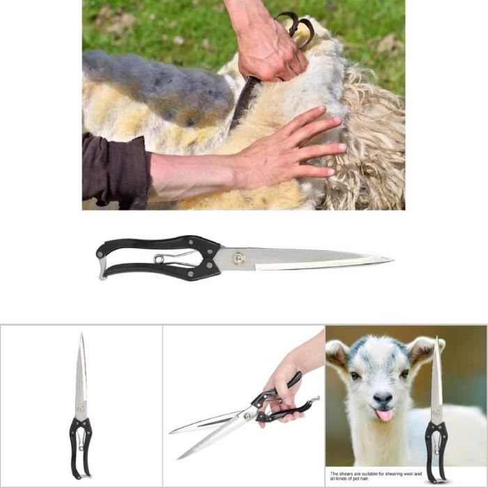 Cisailles à Moutons Arc Unique 6,5 Pouces AA Pro - Pour Coupe Toison Et Pieds | Fabrication Pakistan