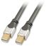 3m Lindy Rallonge DisplayPort