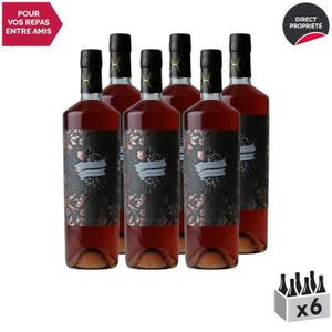 VIN ROSE Pineau des Charentes Macération Carbonique Rosé - Lot de 6x75cl - Les Frères Moine - Vin AOC Rosé du Sud-Ouest