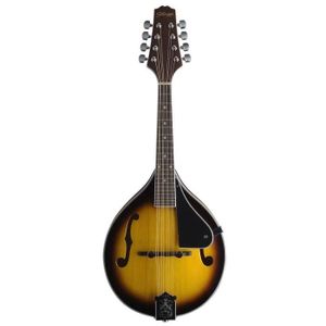 Les cordes de mandoline de blessure de bronze dacier inoxydable de Yibuy ont placé des parties de mandoline E B G D Set de 8 