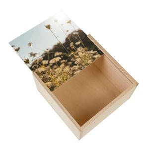 Boîte cadeau Boite Coffret en Bois - Photo Nature Daucus Carota en Fleur Été Contre-Jour  (11 x 11 x 3,5 cm)