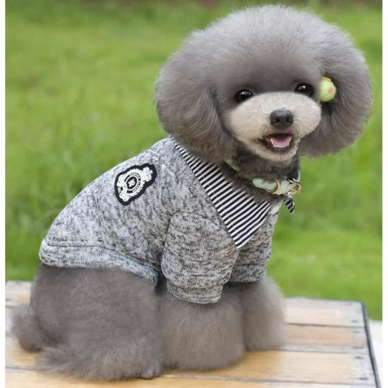 Pull pour petit chien online