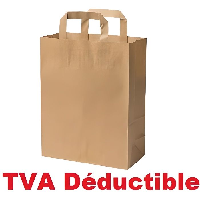 50 Petit Sac en Papier écologique kraft écru avec poignée 6 litres largeur 22 hauteur 28 soufflet 10 cm sac papier, cabas papier 80